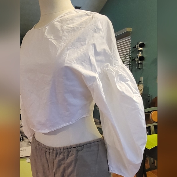 Ultra Chic Zara Crop Top with Puff Sleeves - Picture 2 of 6
